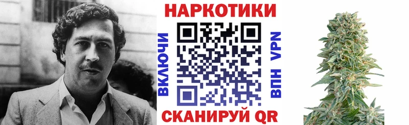 Купить закладку Миньяр Галлюциногенные грибы  Каннабис  Альфа ПВП  мега как войти  ГАШ  Меф 