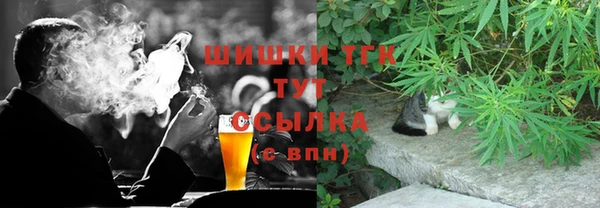ГАЛЛЮЦИНОГЕННЫЕ ГРИБЫ Лихославль